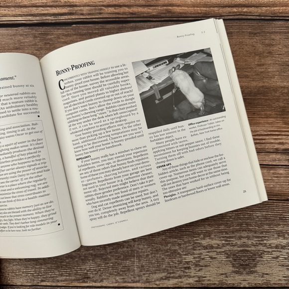 2/$20 House Rabbit Handbook - Picture 4 of 4